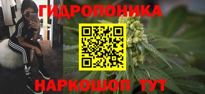 ECSTASY Гай