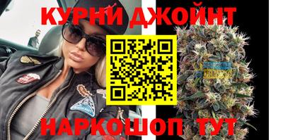 твердый Гатчина