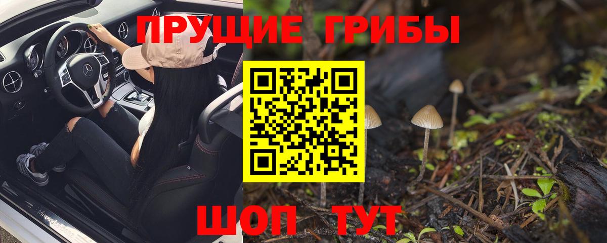 где продают   Галлюциногенные грибы прущие грибы  Вход с VPN  Псилоцибиновые грибы мухоморы  Можга 